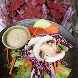 a plate of salad with mushrooms, carrots, lettuce, and cucumber