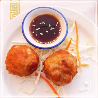 Thai Dumplings