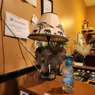 Absolutely loved this awesome lamp. Enamored. 10-3-23