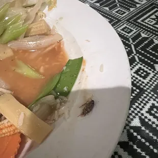Roach in my dinner. The waiter didn&apos;t even seem surprised. Just said &quot;oh I&apos;m sorry&quot;