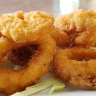Calamari up close