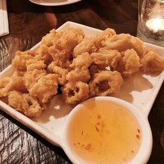 Fried Calamari