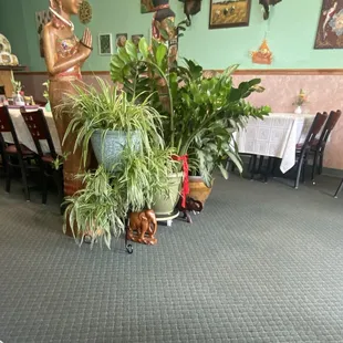 Decor