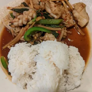 squid seafood