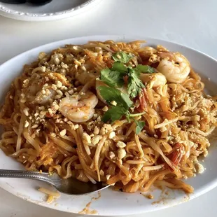 noodle dish, food, noodle soup, noodles, ramen and noodles, ramen