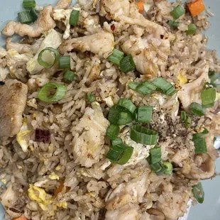 Chicken fried rice (regular)