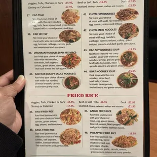 10.30.24 Noodles and Fried Rice