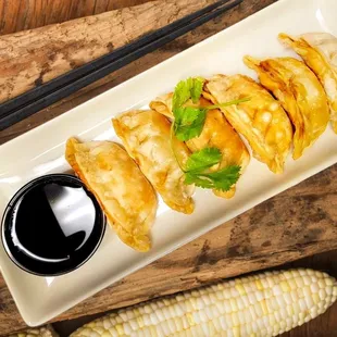 Chicken Potsticker