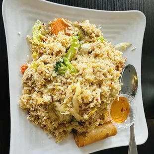 Yummy chicken fried rice space level #5