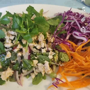 Beautifully colored larb salad. Ground chicken, lime, mint, onions, crunched up sesame seeds. Can add rice if needed.
