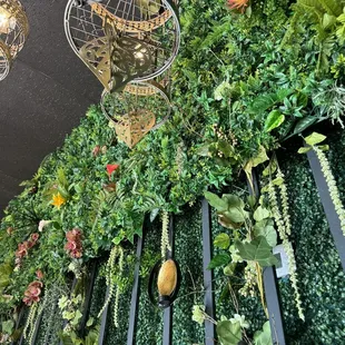 a wall of plants and a birdcage
