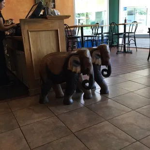 Elephants!!