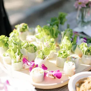 Vegetarian spring orlls