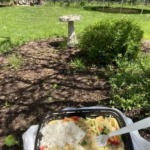 rice and vegetables in a plastic container