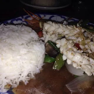 Squid