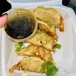 Gyoza