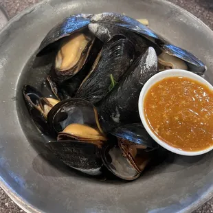 oysters and mussels, food