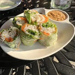 Fresh Rolls (2) really yummy peanut sauce