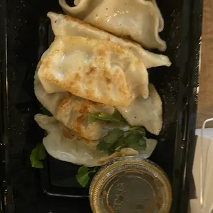 Chicken Dumplings