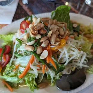 Papaya Salad