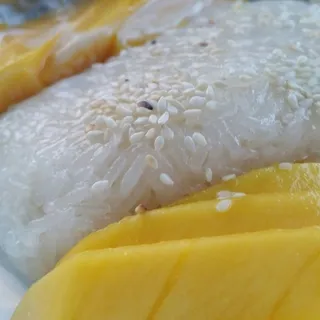 Sweet Sticky Rice with Fresh Mango