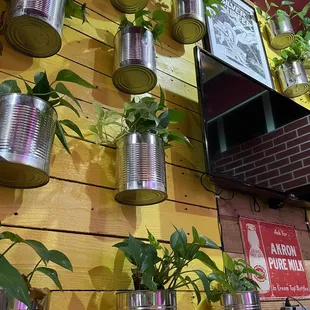 Super cute up-cycled green wall!