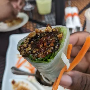 a hand holding a vegetable wrap