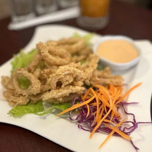Fried Crispy Calamari