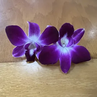 Orchid