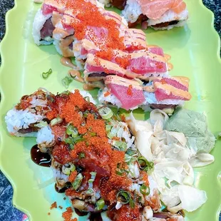Bottom to Top: Shoya, Red Dragon, Lemon Fish