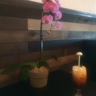 Sweet Thai Iced Tea