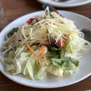 Papaya salad (spicy-mild)