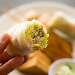 Spring Rolls (Sampler Platter)