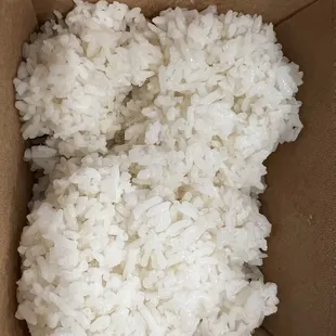 Rice!