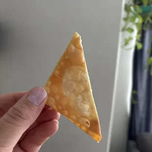 Fried wontons with no filling