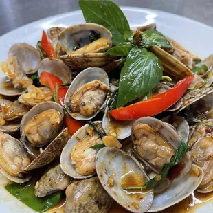 Basil Clam