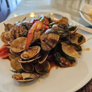 oysters and mussels, mussels, shellfish, oysters, food