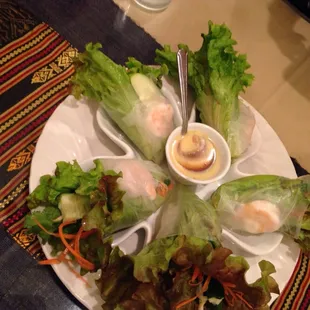 Fresh Rolls