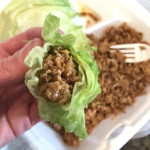 I'm in love with their Lettuce Wraps. Ground chicken, green onions, water chestnuts, super tasty brown sauce. If you come here get it!