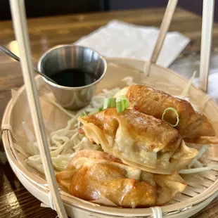Chicken Dumplings