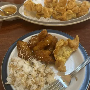 Orange Chicken, chicken wonton, rice