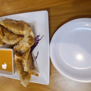 Dumplings - appetizer