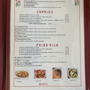 Curries and fried rice