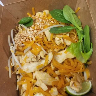 Regular small portion of chicken pad thai +$14