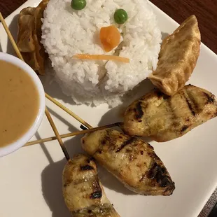 Chicken Satay