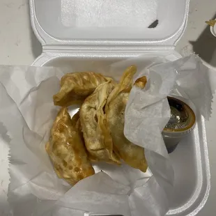 Chicken Dumplings