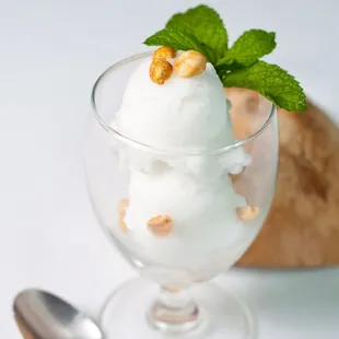 Homemade Ice Creams - Coconut, Avocado, Mango, Strawberry, Banana