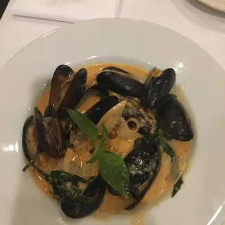 Mussels