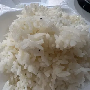Bugs in rice