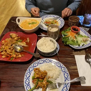 Potstickers, cashew nut chicken, pineapple seafood (red) curry, white rice, and sticky rice.